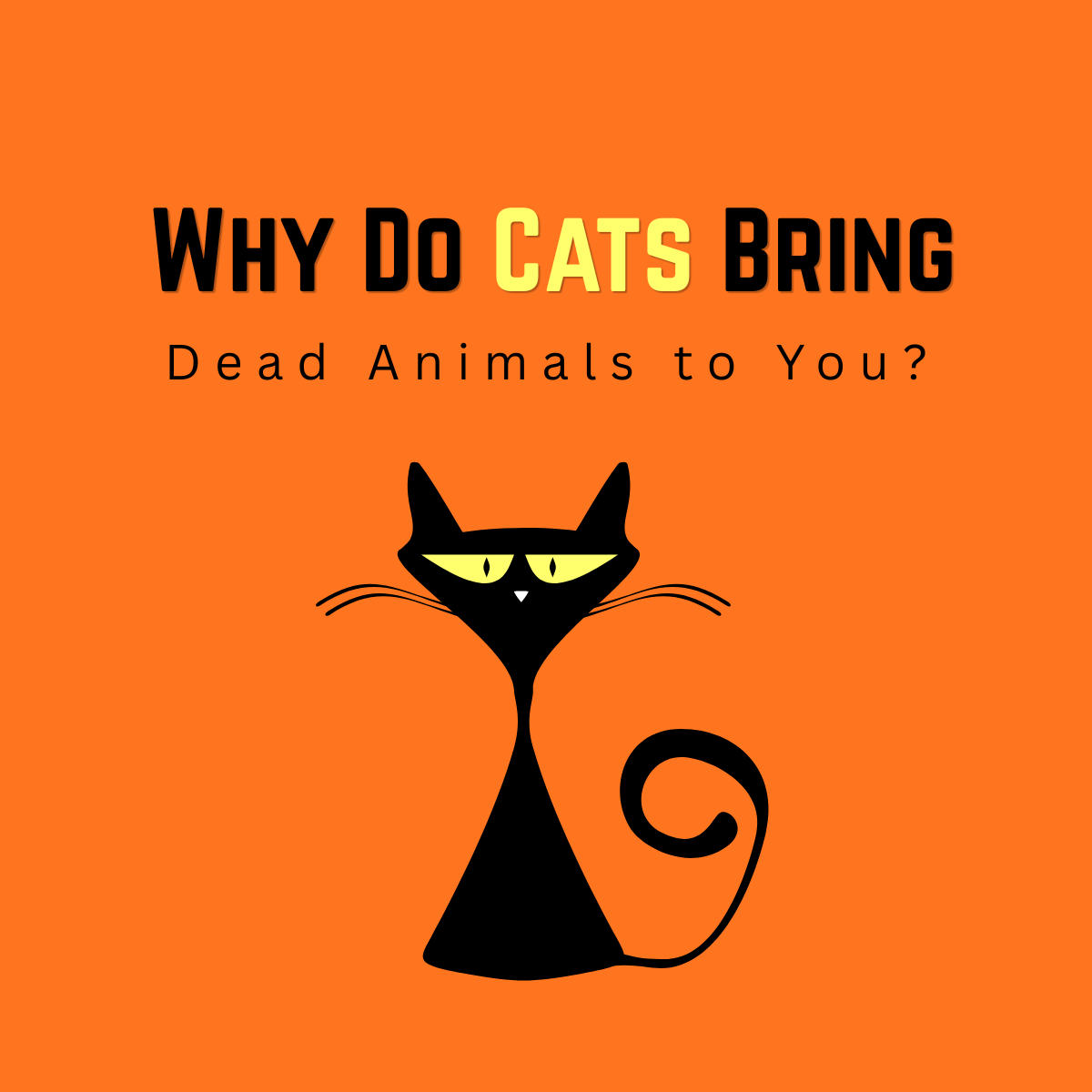 Why Do Cats Bring Dead Animals to You? (Real Meaning Explained)