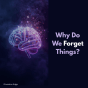 Why Do We Forget Things?