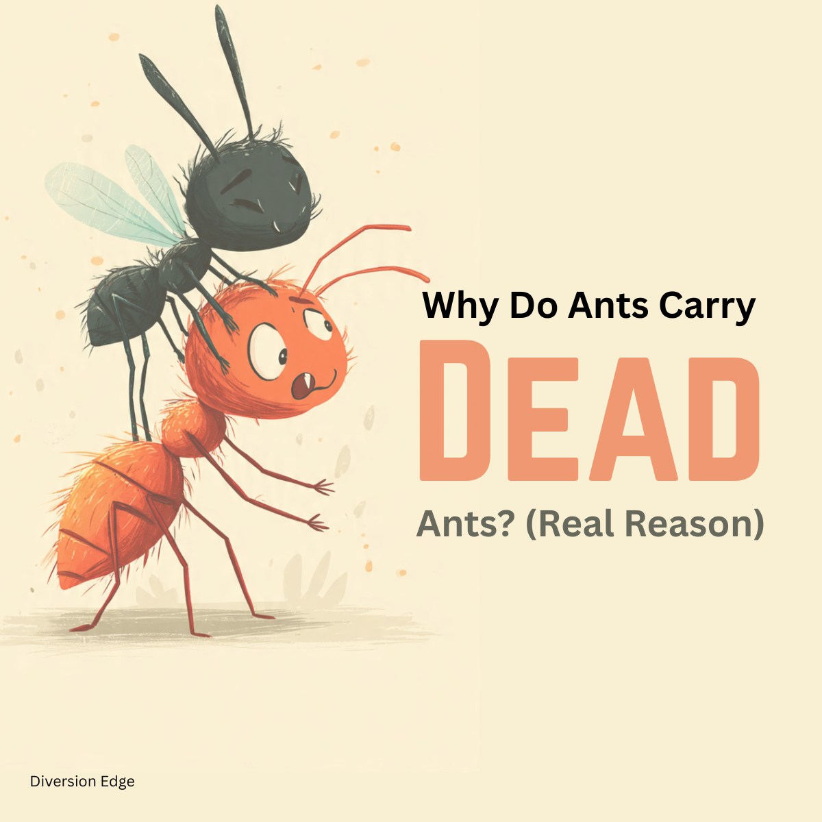 Why Do Ants Carry Dead Ants? (Real Reason + What It Means in Your Home)