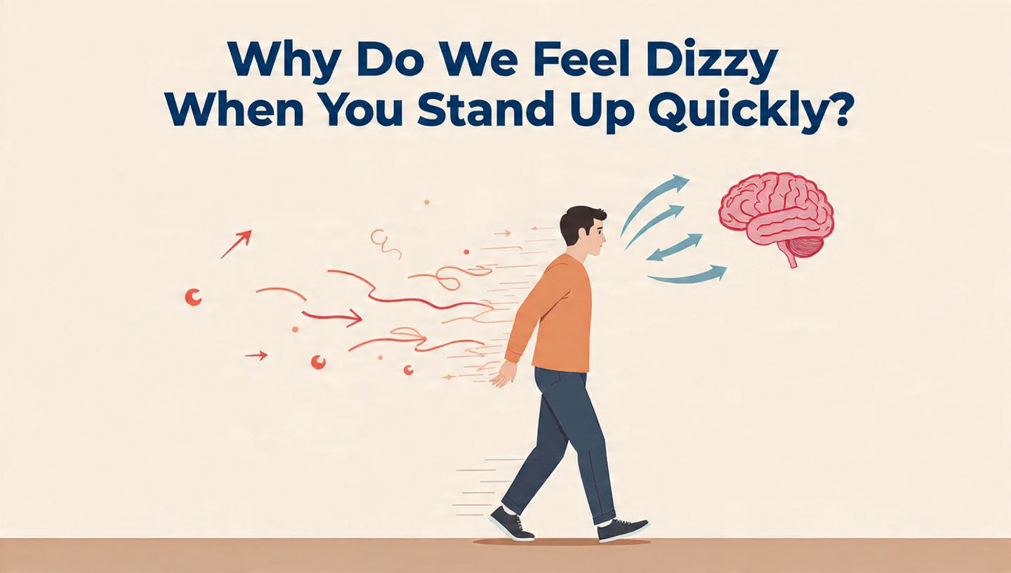 Why Do We Feel Dizzy When We Stand Up Quickly? What’s Really Happening